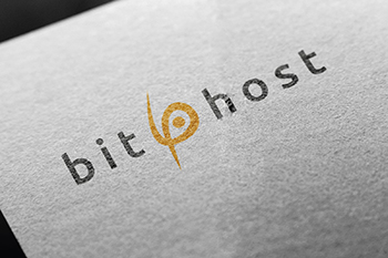 BITHOST logo  grafika